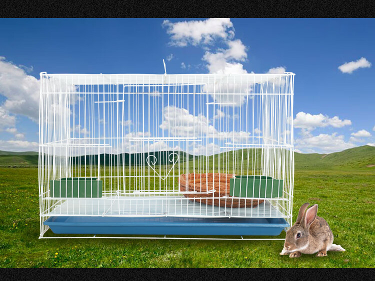 兔笼兔子笼荷兰猪笼子室内兔子窝兔子屋特大号家用宠物用品 豪华版50*