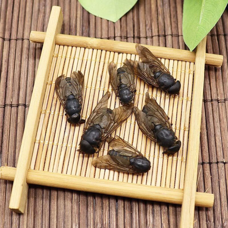 牛虻虫中药材牛虻虫野生大牛虻牛牤虫牛氓虫粉牛虻虫50克