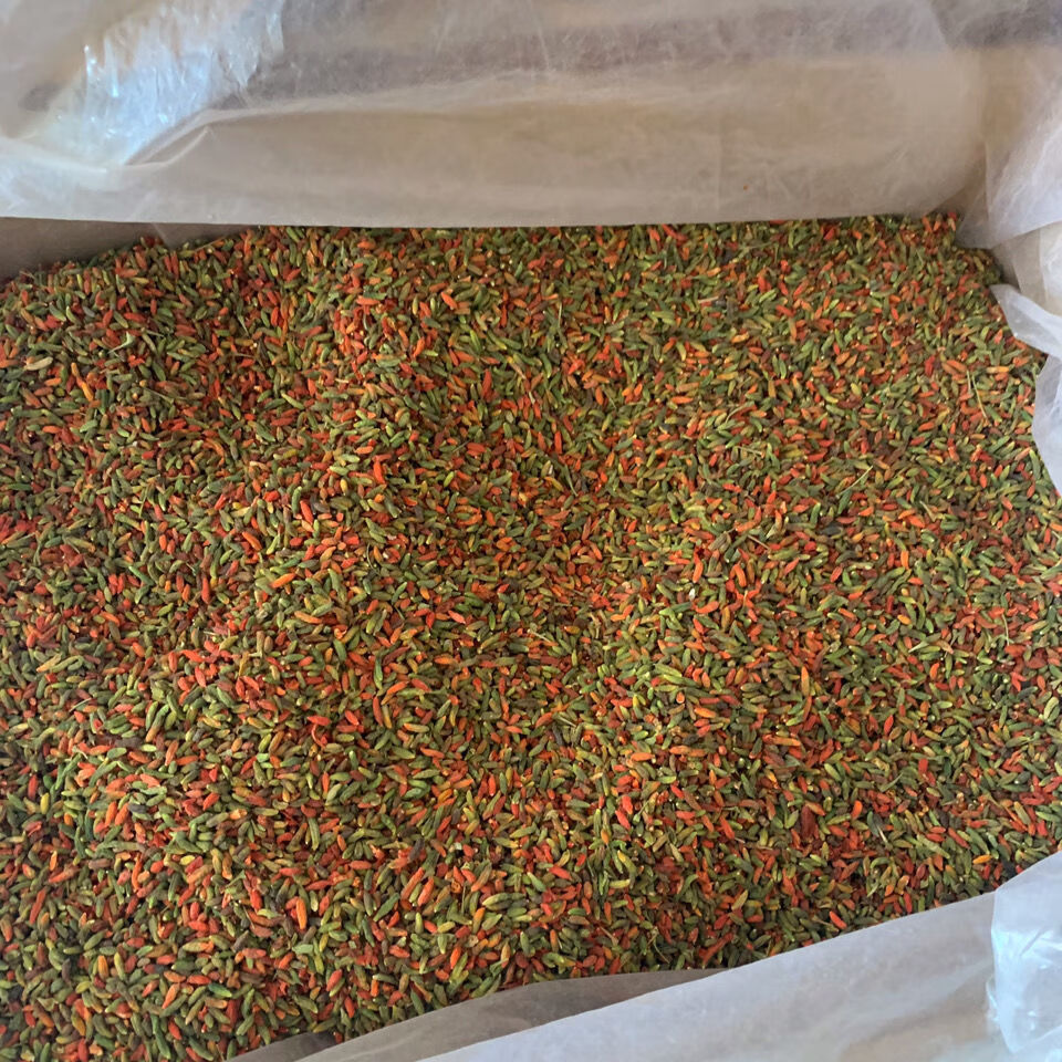 产地批发正宗长白山野生花枸杞特级小粒原生态青红枸杞足干无硫磺