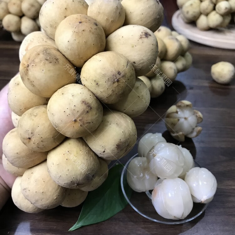 轻恋 泰国龙宫果2斤精选果新鲜泰国特产枇杷椰色果龙贡果时令水果