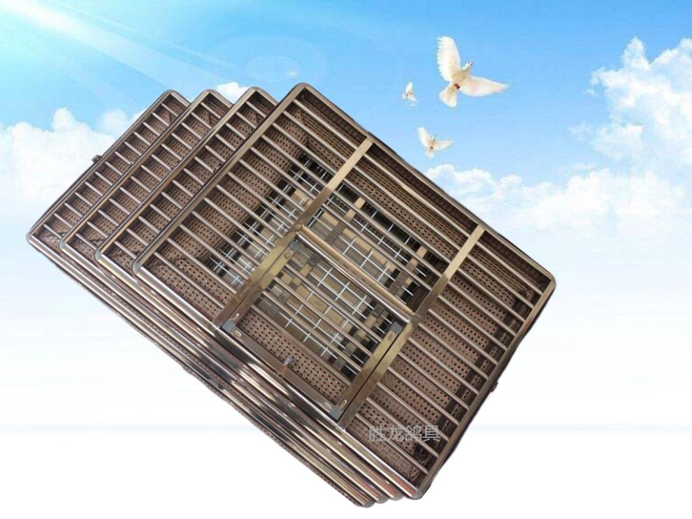 采缇 胜龙鸽具鸽子笼训放笼信鸽用品用具赛鸽不锈钢藤笼折叠放飞笼 75