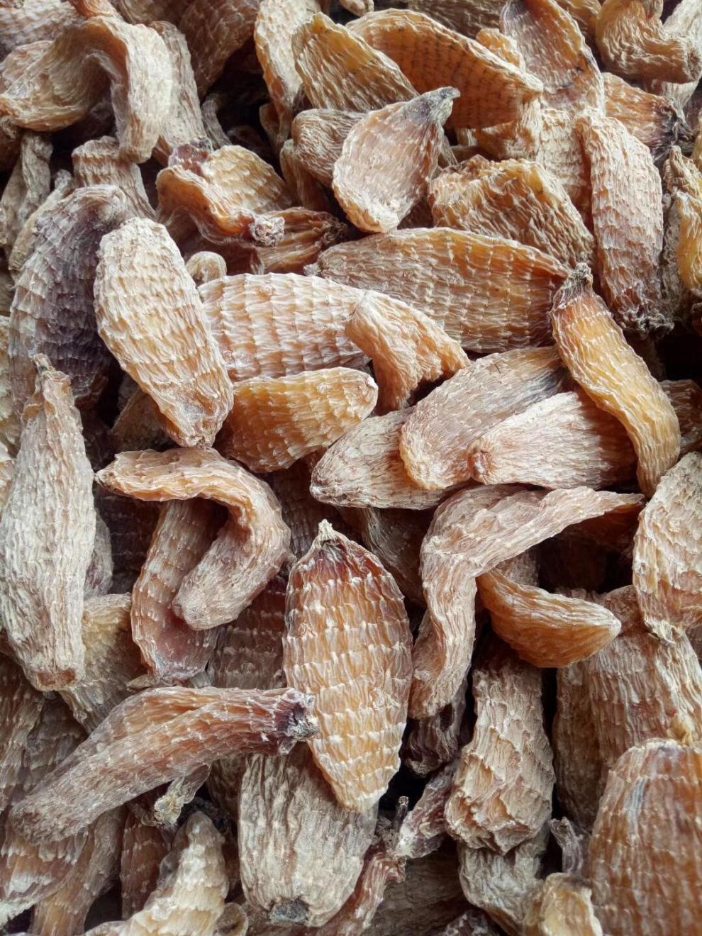 花初醒云南天麻红天麻正宗雪山血天麻云南天麻100克10根丽江天麻切片