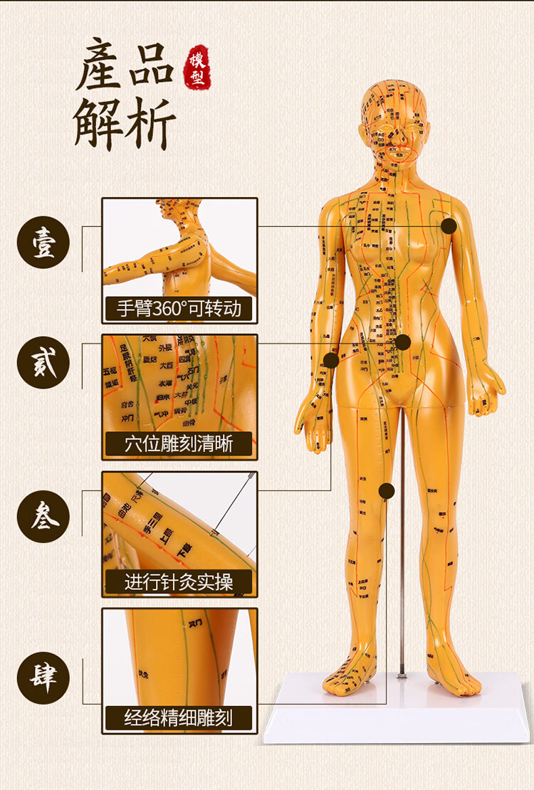 清晰人体穴位模型铜人中医学按摩全身经络通针灸教学男女小人模 超