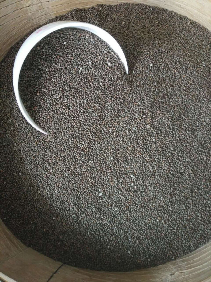 辉导 贵州特产新货酥麻籽新酥麻装农家黑苏麻引子 油性酥麻糖紫苏籽 5