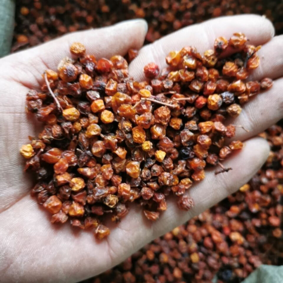 中药材野生新疆沙棘果干含沙棘油沙棘原浆沙棘茶可试用包退沁溪2000克