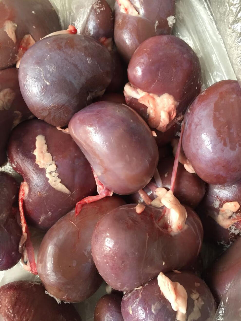 羊腰子不带油新鲜羊腰子新鲜去油羊腰烧烤火锅食材20个装