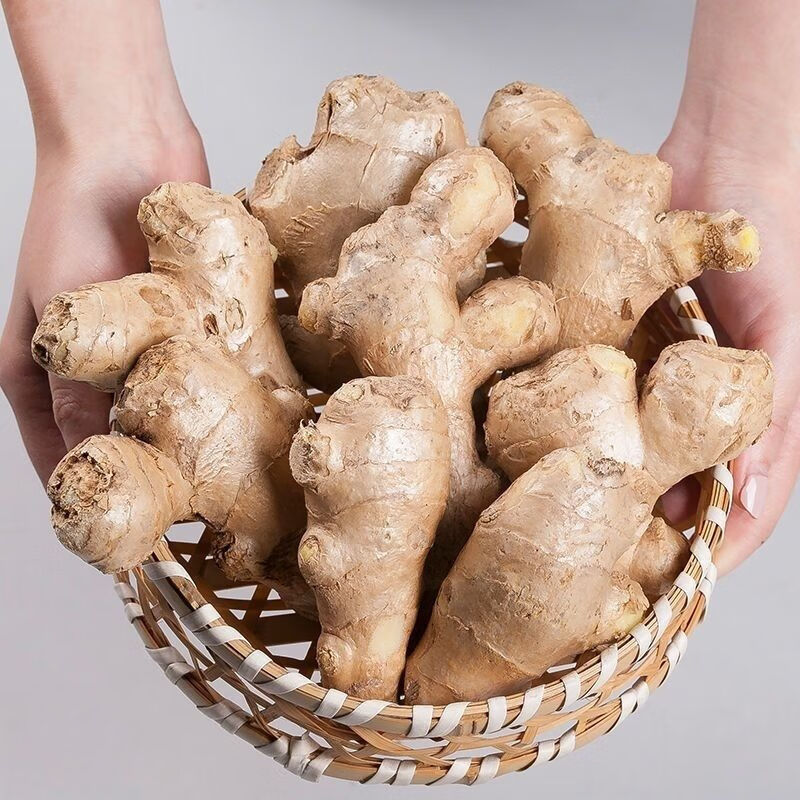 精选果蔬山东水洗无土干姜生姜月子姜老姜食用新鲜生姜老生姜大黄姜5