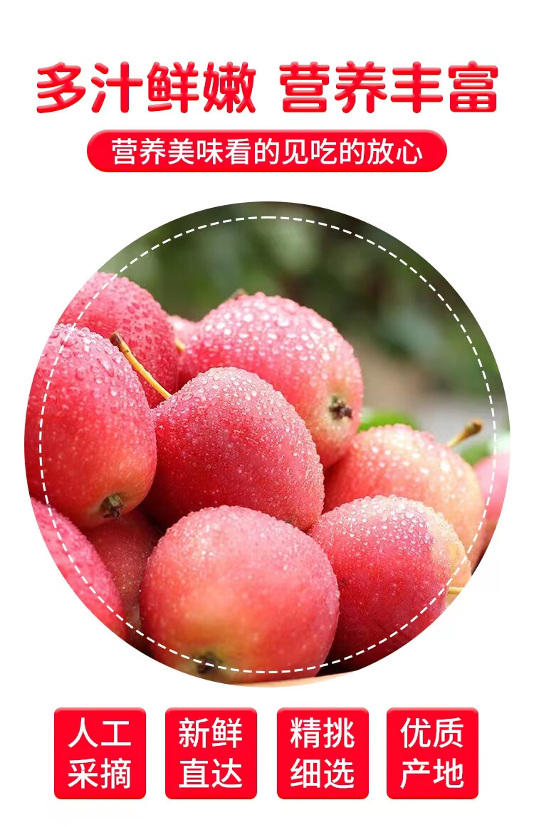 美食尚 【现摘现发】东北鸡心果特产新鲜锦绣海棠小苹果应季水果沙果