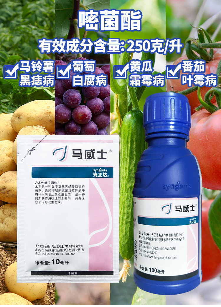 先正达 马威士 嘧菌酯黄瓜黑心蔓枯病霜霉病辣椒炭疽病杀菌剂农药