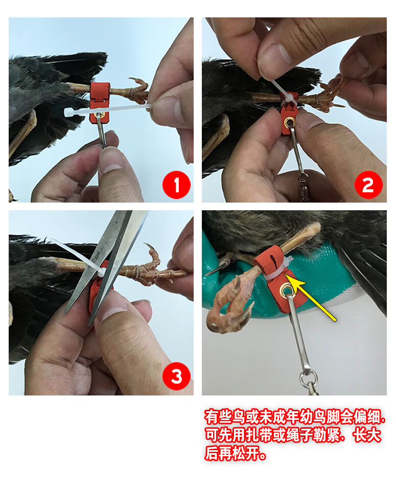 inzoombestchoi鸟用脚链皮套脚环鹦鹉护脚喜鹊乌鸦八哥鹩哥鹰鸽子脚套