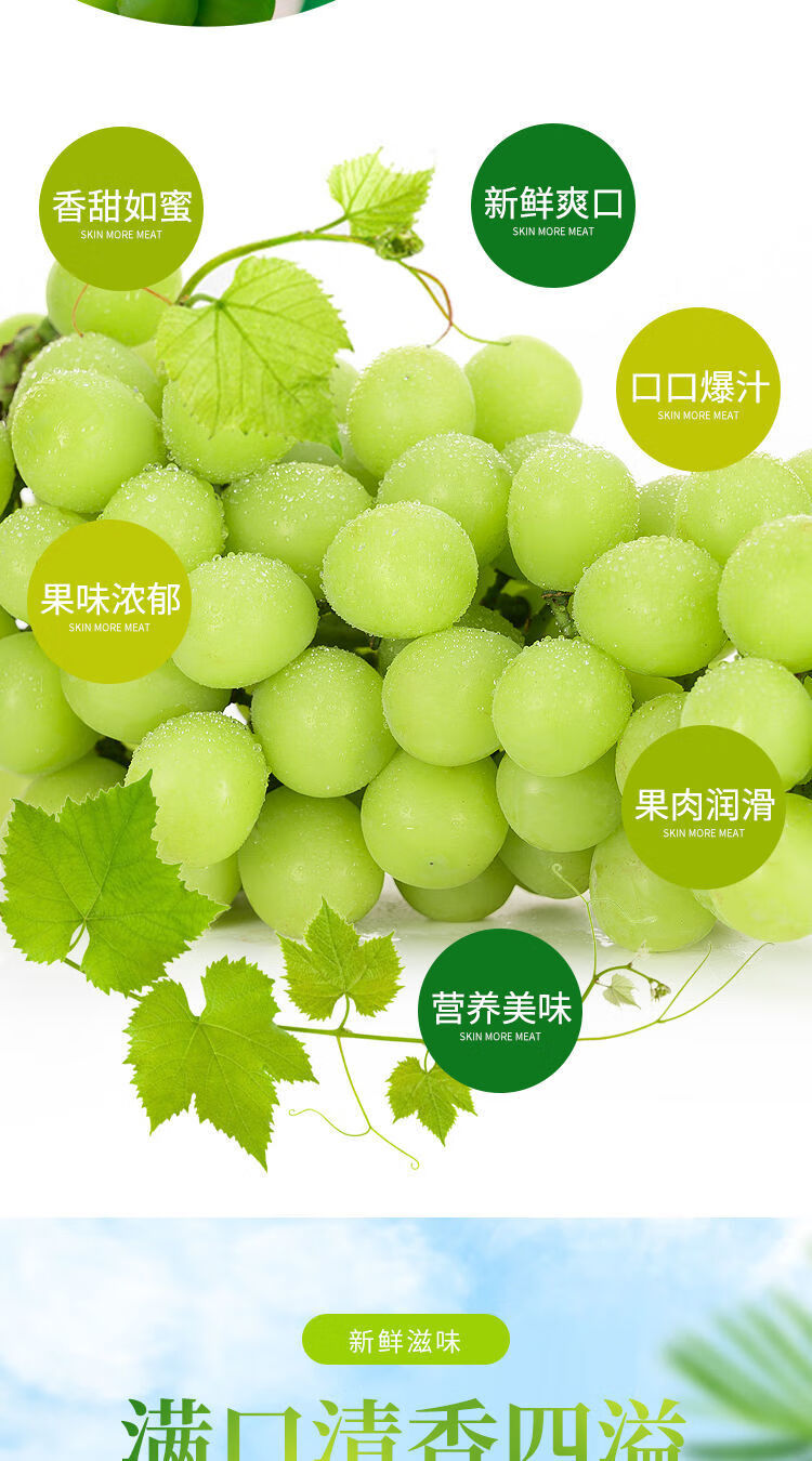 阳光玫瑰葡萄青提子晴王当季新鲜脆甜多汁香印水果礼盒萌逗虾米 2斤