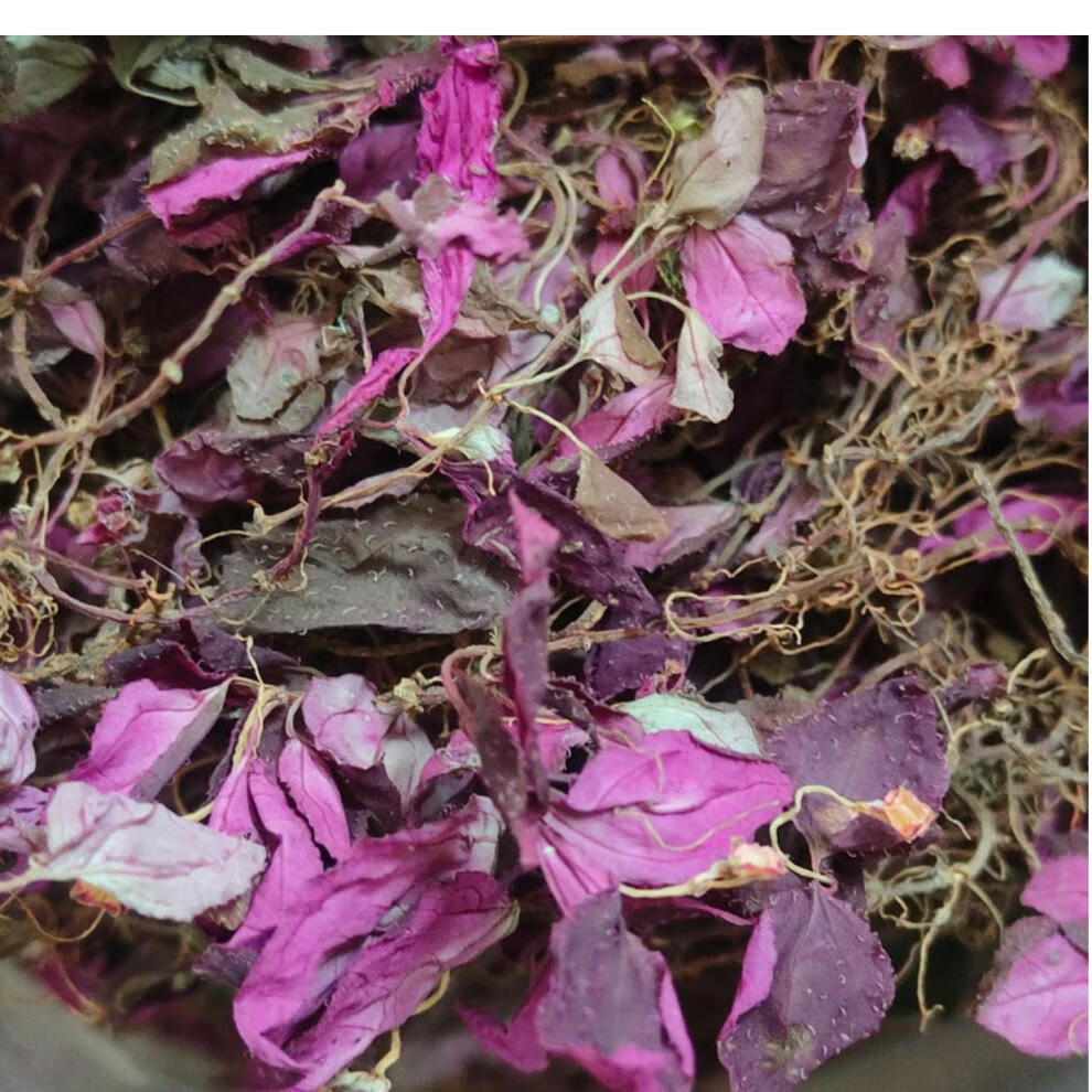 风柜斗草楮头红风鼓草风骨草风谷草新货高品质正宗味道酸绿叶250g