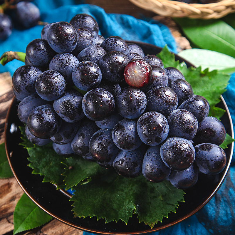 云南夏黑葡萄3斤装新鲜当季时令水果黑提子葡萄孕妇应季 1500g