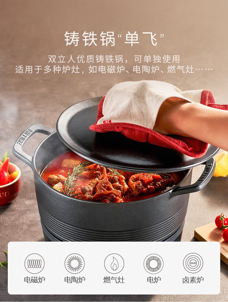 肖战同款德国双立人dragon智能ih电磁炉铸铁锅组合珐琅锅饭釜锅烧炖煮