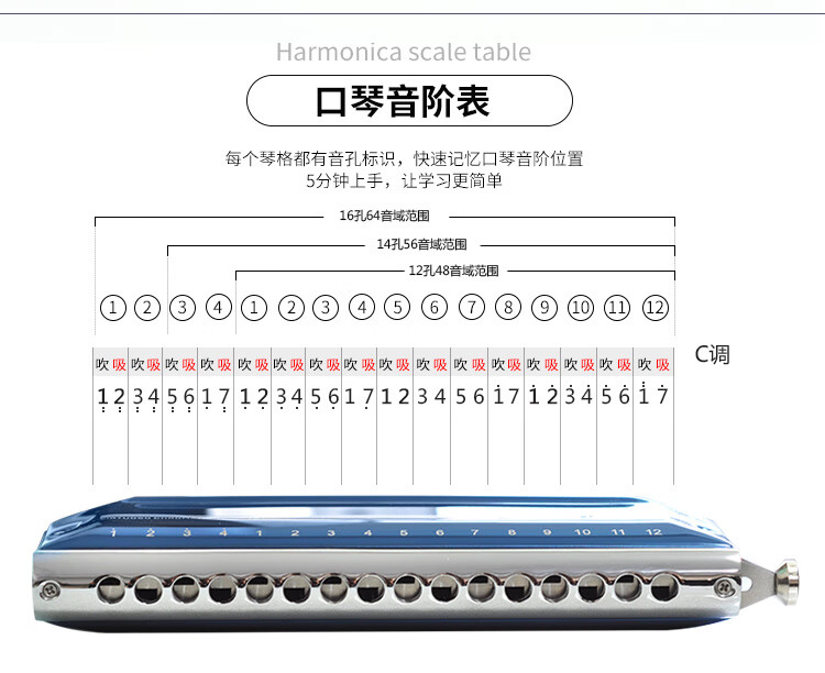 東方鼎12孔半音階口琴c調t1248k金色夢想者專業演奏挑戰者16口琴 進階