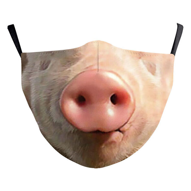 新品猪鼻子口罩现货棉布印花口罩可水洗重复使用新款网红动物可爱小猪
