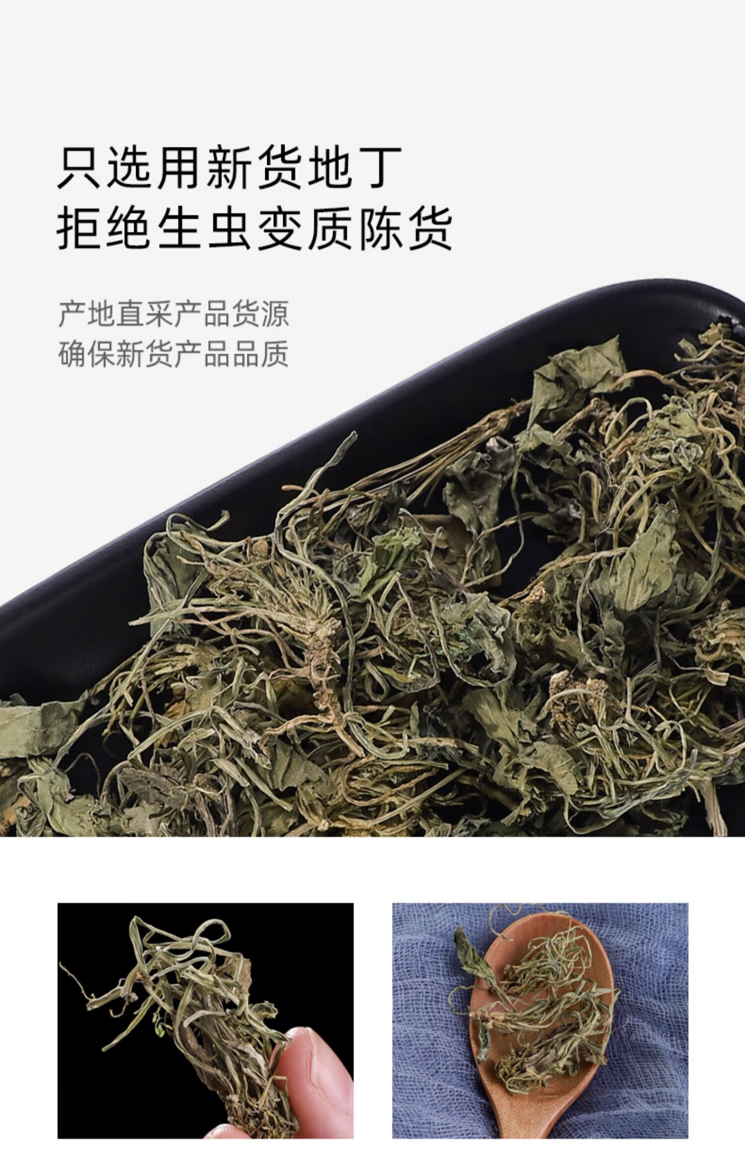 紫丁花草药功效药性图片