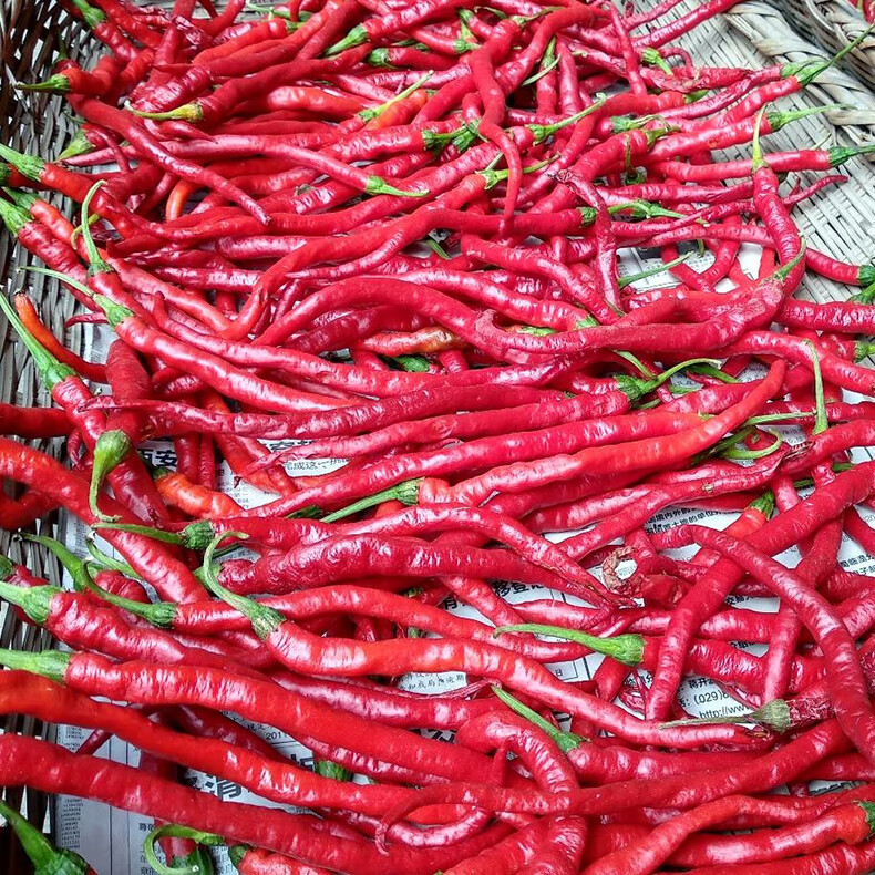 陕西秦椒500g陕西干辣椒干农家线辣椒2020年线椒宝鸡红辣椒角食用秦椒