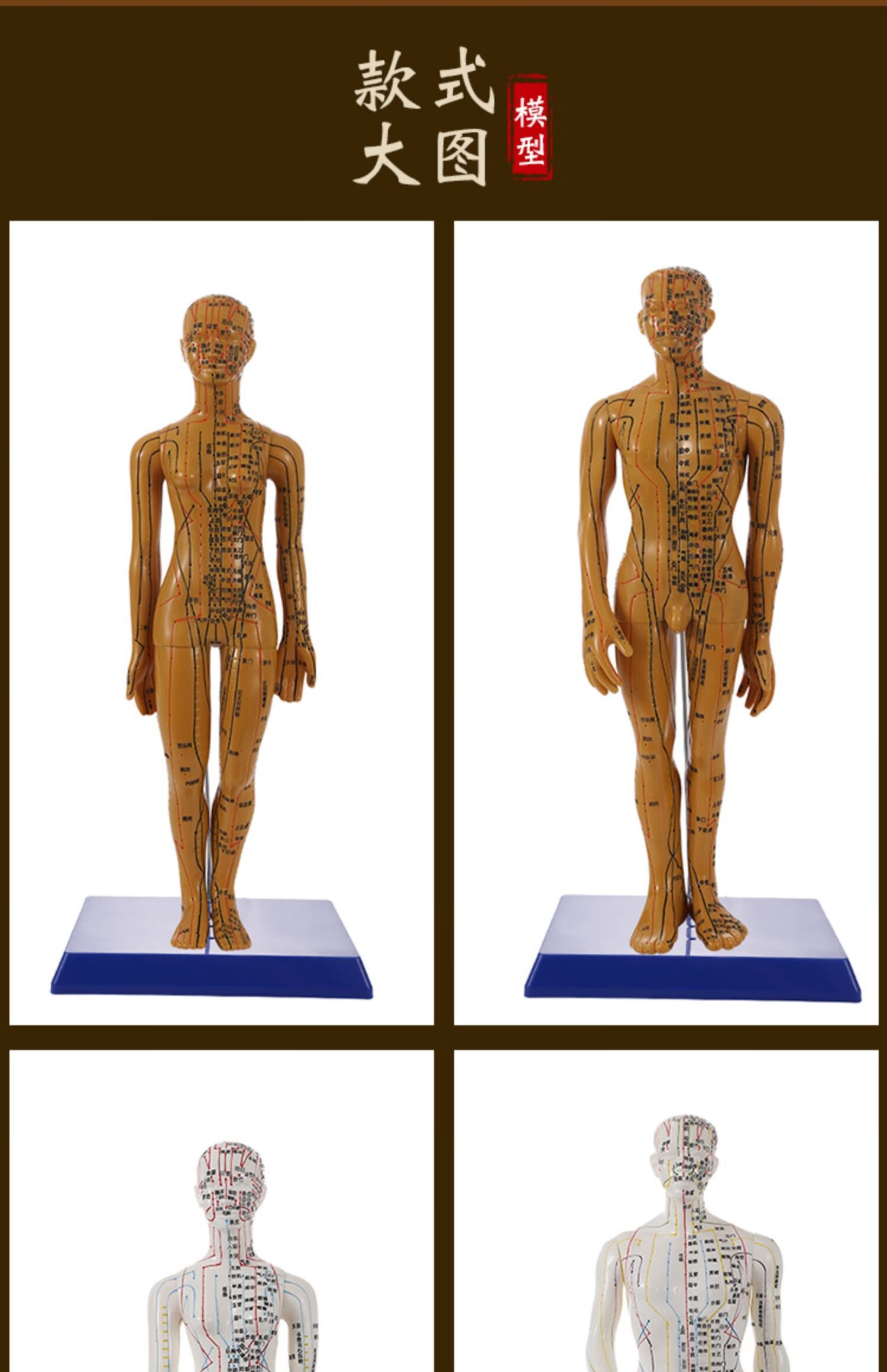 中医针灸穴位人体模型人偶医学全身十二经络图扎针练习小皮人模特 52