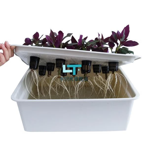 阳台种植无土栽培蔬菜无土栽培设备家庭室内阳台蔬菜多肉种菜花卉水培