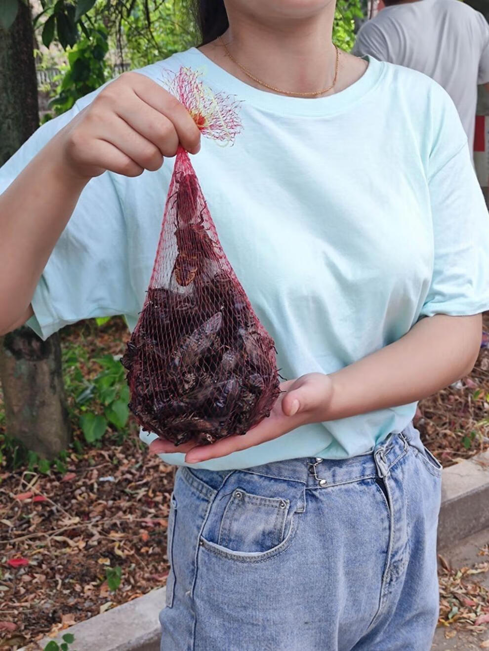 粘知了小绿手知了猴捕捉器抓知了能手粘球捕蝉神器知了杆 小绿手1个