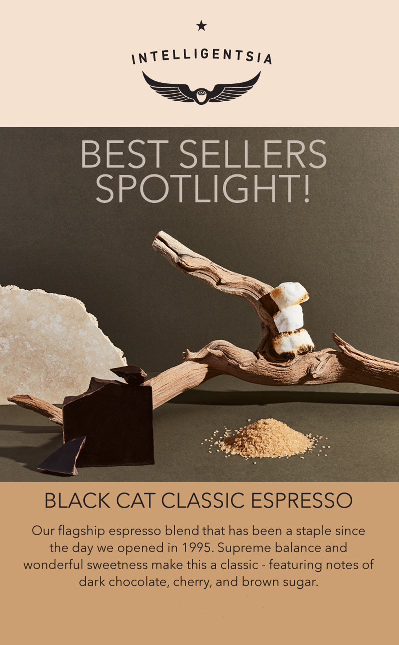 知识分子intelligentsia 340g 黑猫经典意式浓缩烘焙咖啡豆【图片