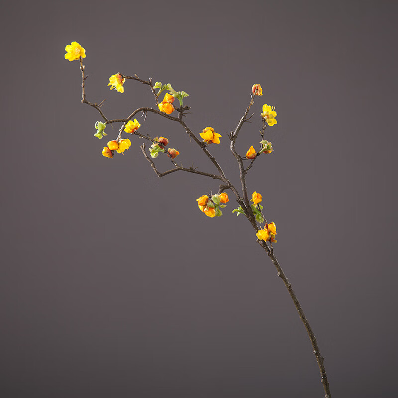 熠文春三月舞蹈花枝道具高端腊梅仿真花干花假花插花花束梅花枝条摆设