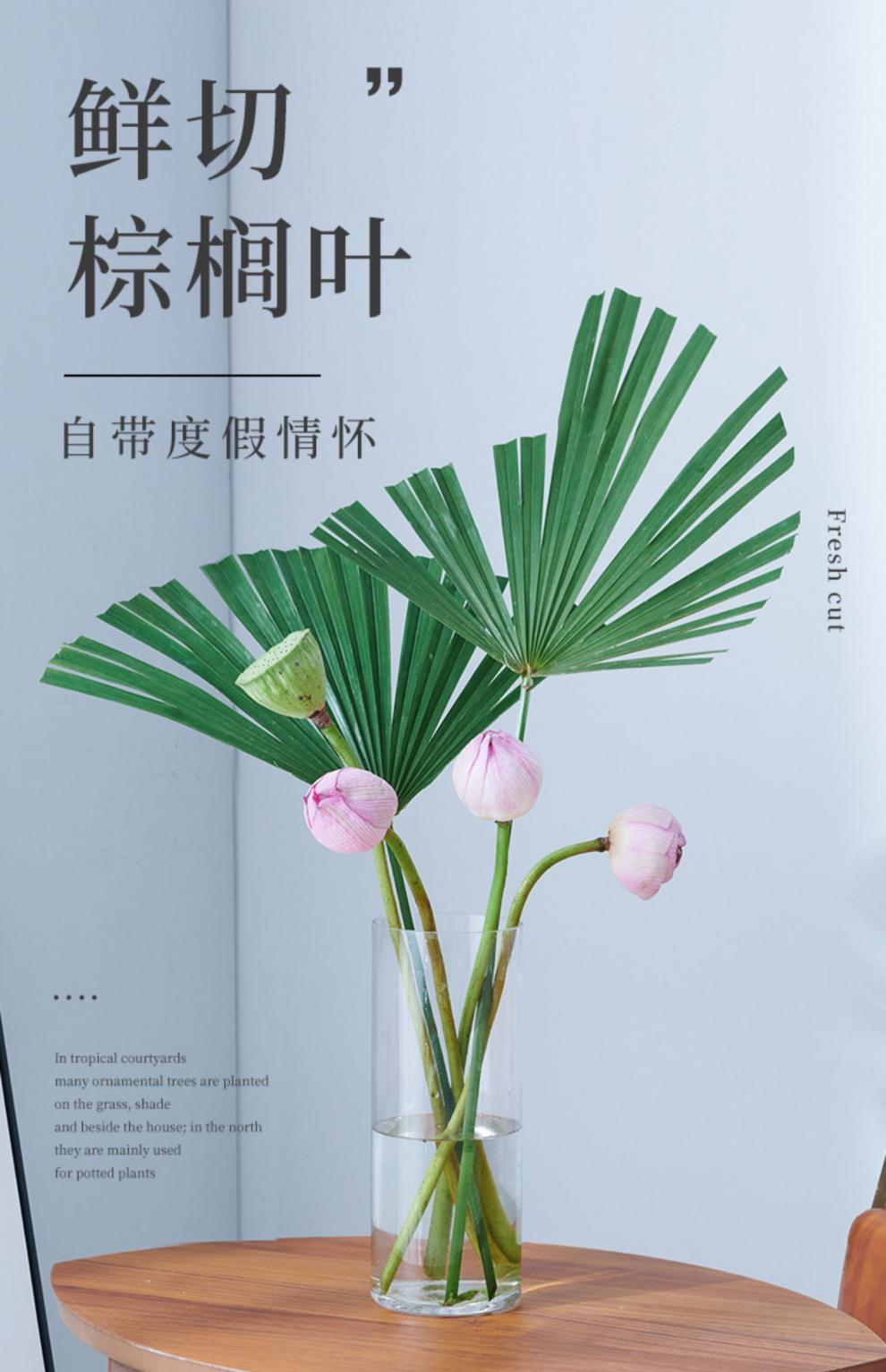 可狄 爱优尚天然棕榈叶鲜切枝条鲜活装饰室内客厅插花水养网红ins植物