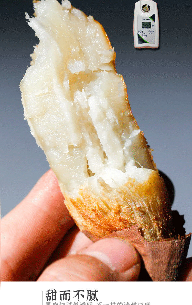 山东哈密冰糖薯新鲜超甜白心烤蜜薯箱薯空气炸锅山芋早餐地瓜 中果