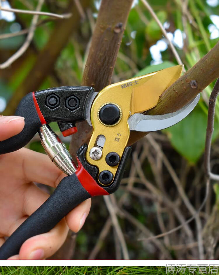 京选优品日本钢树枝剪刀省力5剪子果树剪刀修树枝剪刀园林剪强力粗枝