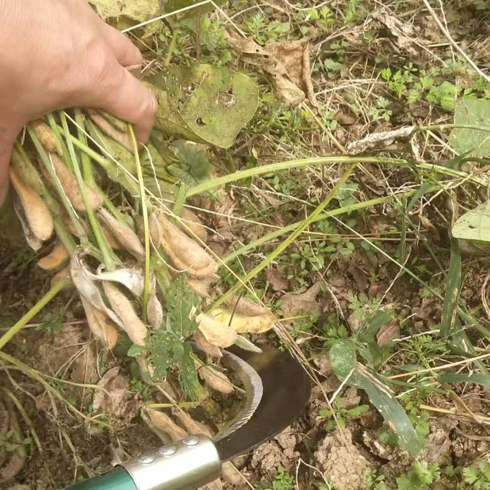 工具割草割菜镰刀收割小麦水稻油菜全钢长柄弯刀野营开路 烤漆钢柄46