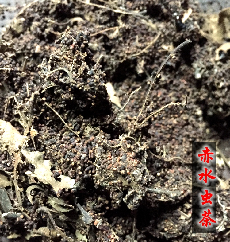 虫屎茶正宗野生贵州陈年陈香赤水虫茶猫屎茶虫酿茶宝龙珠茶罐装50克