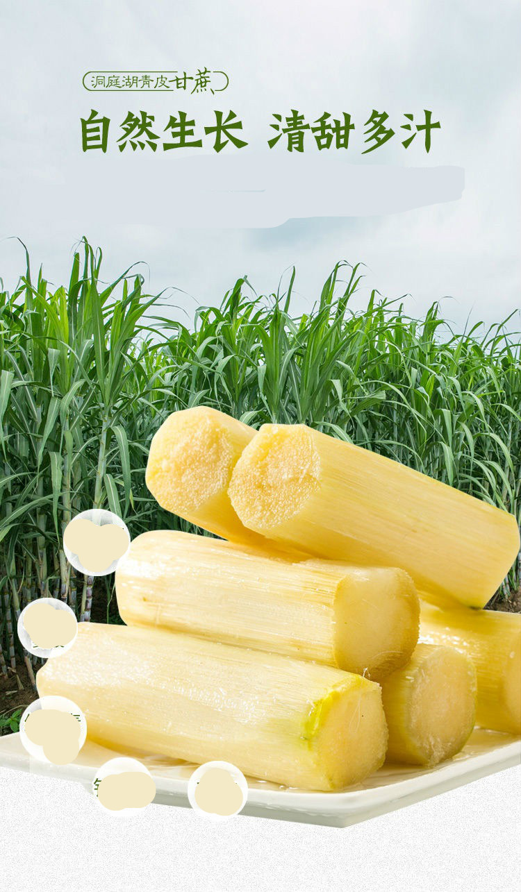 甘蔗新鲜现绿皮应季清甜水果湖南特产批发整箱农家青皮甘蔗优选中段9