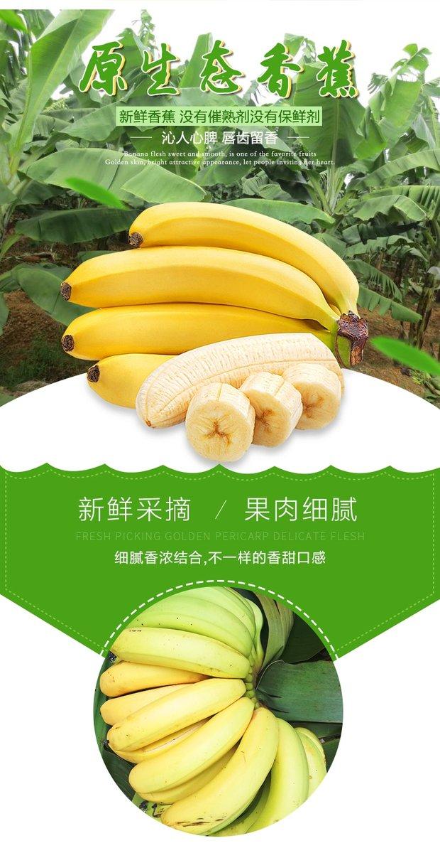 精选广西土香蕉新鲜香蕉芝麻蕉banana清甜味青蕉无催熟剂5斤香蕉