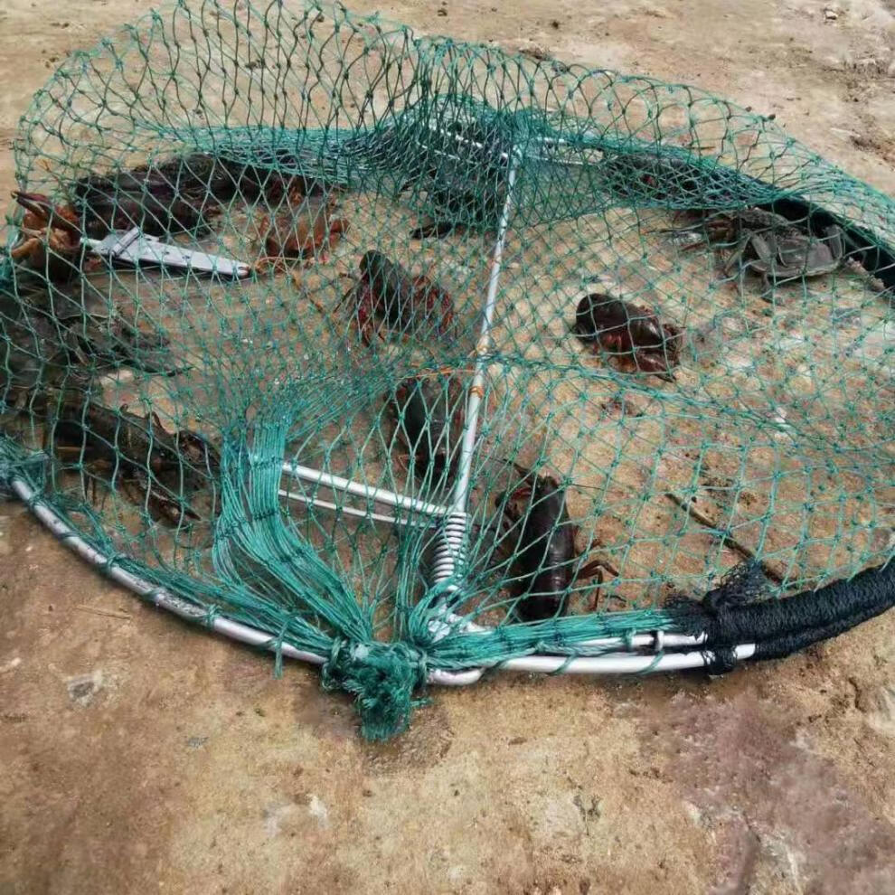 抓鸡笼自动拍网工具龙虾网只进不出笼折叠拍网天落笼渔网boussac90100