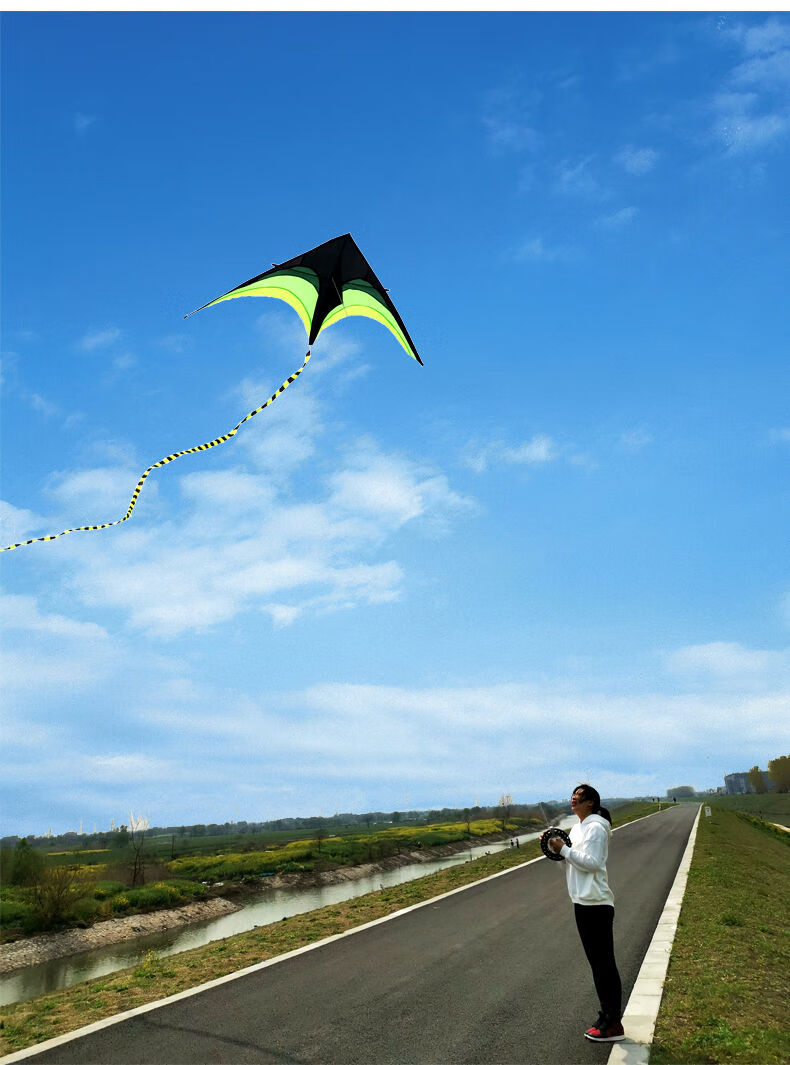 新品潍坊草原风筝儿童成人超大微风易飞初学者新手新款线轮16米大草原