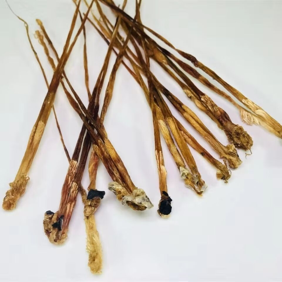 中药材蛇鞭 100克大条泡酒男士新货蛇鞭干乌梢蛇蛇胆养生泡酒原料【图
