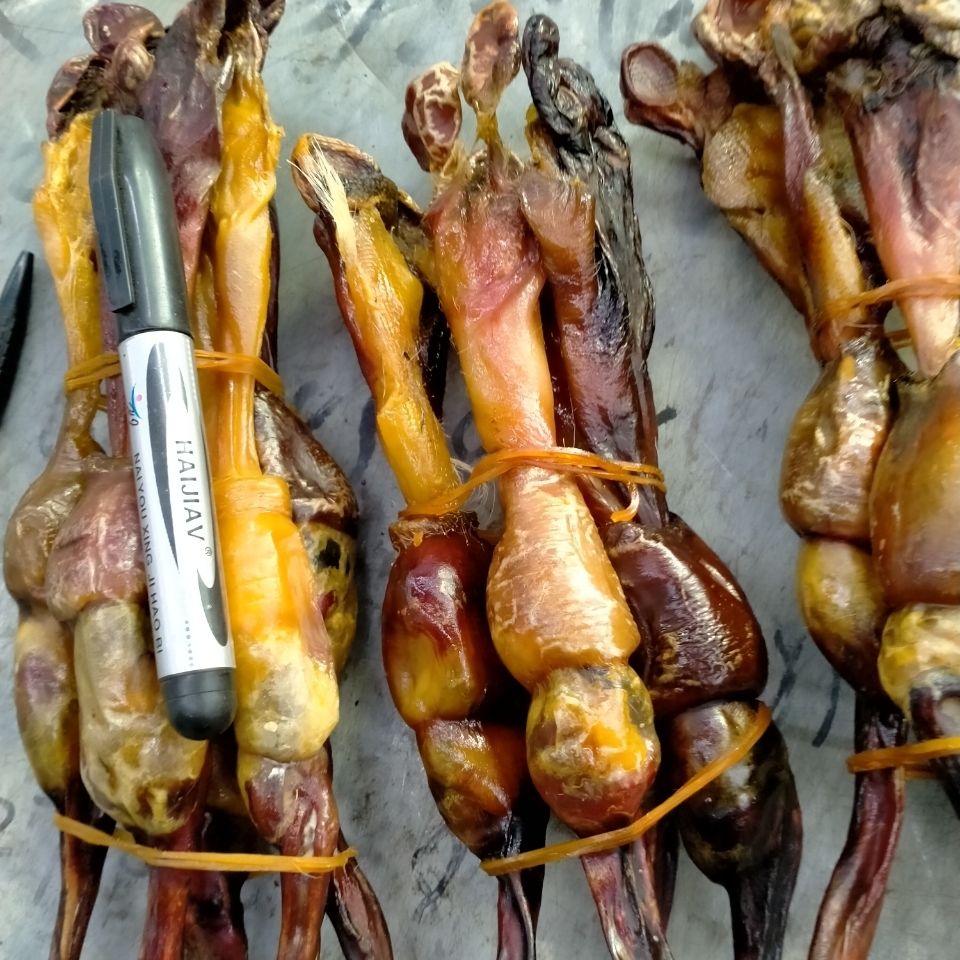 黄狗鞭 泡酒笨狗鞭中药材泡酒料养生泡酒料狗 滋补狗鞭狗肾 20克左右