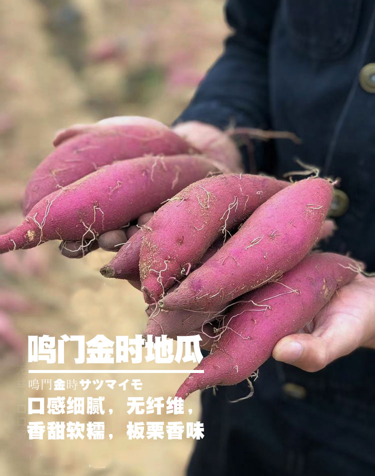 顺丰速发鸣门金时地瓜红薯高甜粉糯细腻无丝5斤装日本原种精品果5斤约