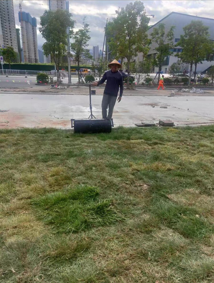 压实机碾压草滚除草机花园铺草皮草地滚筒草坪压平滚压机园艺绿化新款