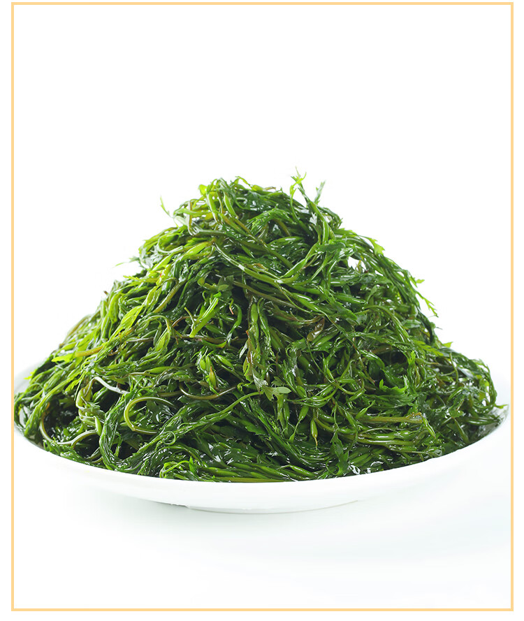马尾藻长寿菜新鲜海草鞭炮笋海带丝嫩苗海藻菜羊栖菜火锅凉拌菜 5斤
