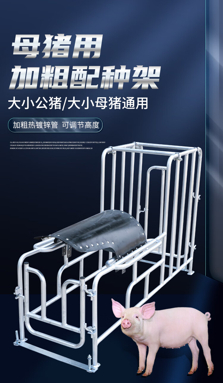 种猪小母猪架配种架采精支架公猪用配种栏受精配种器配猪架子设备