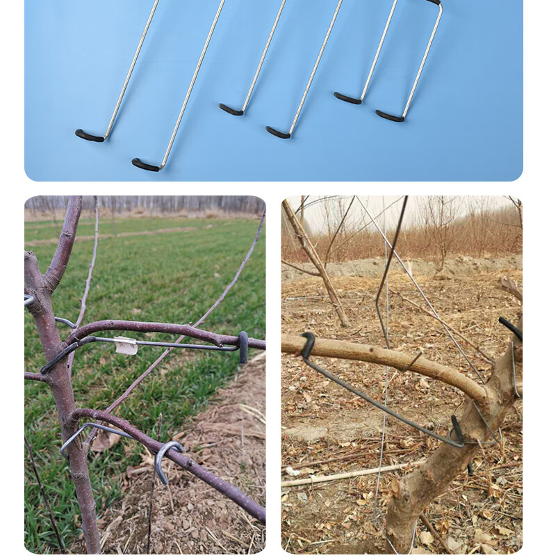 果树拉枝器开定型角器别枝器压枝神器园林工具改进型新型德助雷帕汀