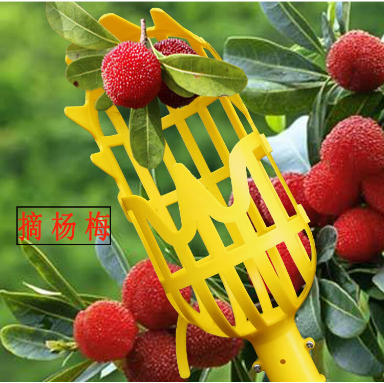 园艺用品27米高空摘果器可伸缩采果枇杷杨梅柿子水果采摘工具家用铸锌