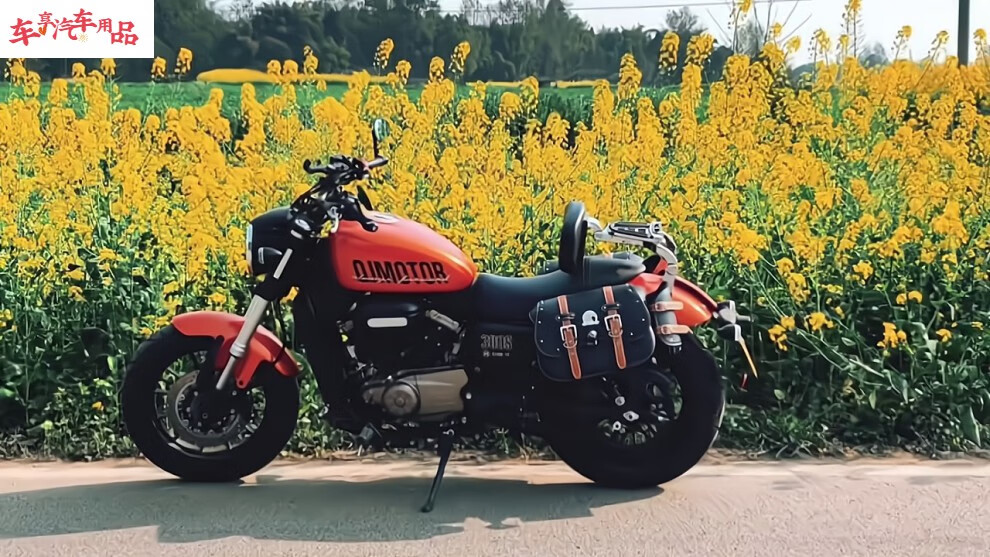 适配qjmotor钱江闪300s复古摩托车边包侧边箱挂包 防摔护杠 靠背 96号