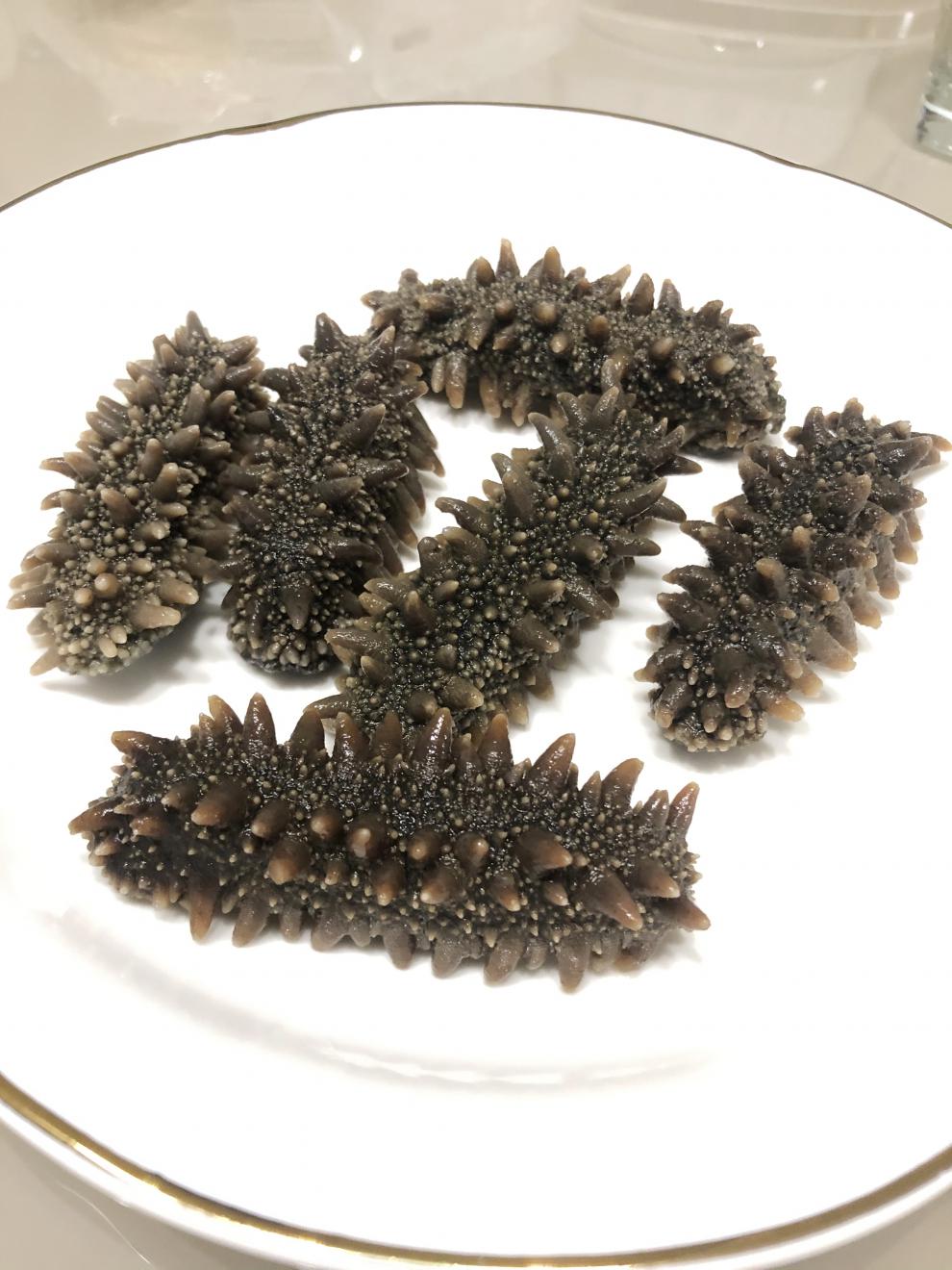 日本关东参北海道海参六排刺纯淡干关东海参北海道红参干货50g优选79