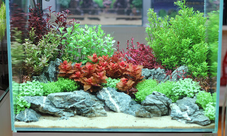 精选青龙石鱼缸酸洗造景石头水族装饰水草造景草缸山造景石 酸洗优选