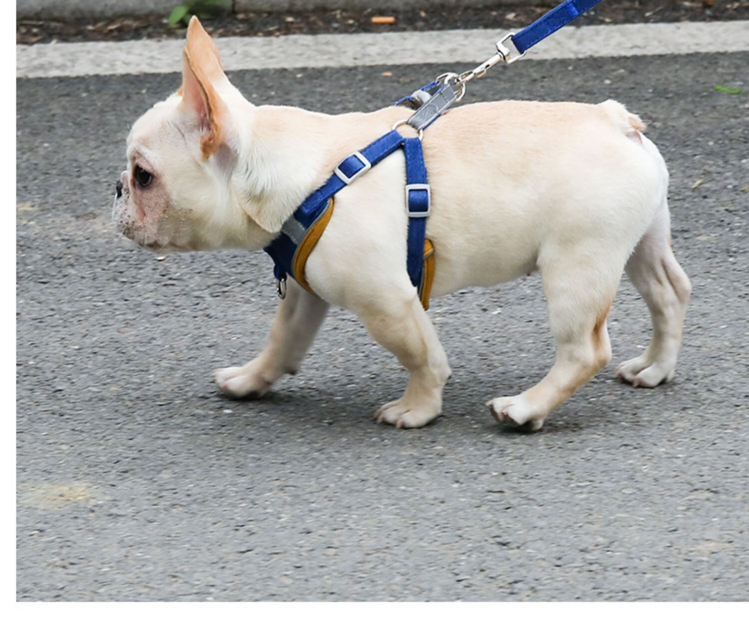 和御烧狗狗牵引绳背心式狗绳猫链子遛狗胸背带小中型犬法斗泰迪宠物