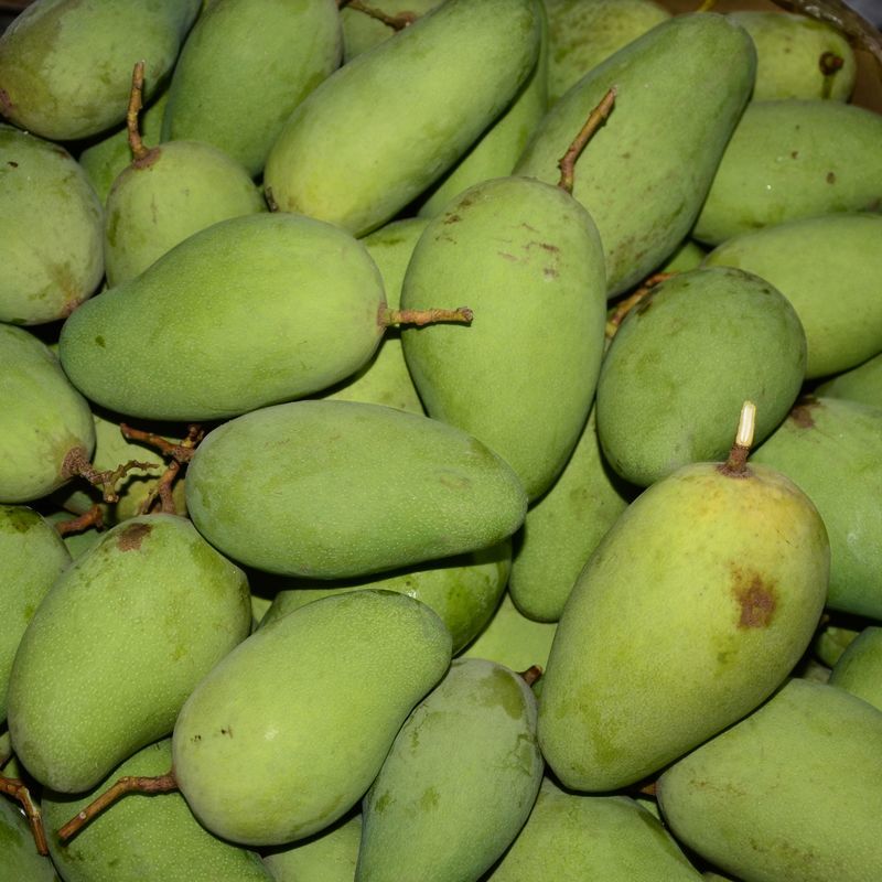 现摘广西生吃芒果酸芒果脆芒果象牙芒果小月牙芒果青芒果孕妇水果生吃