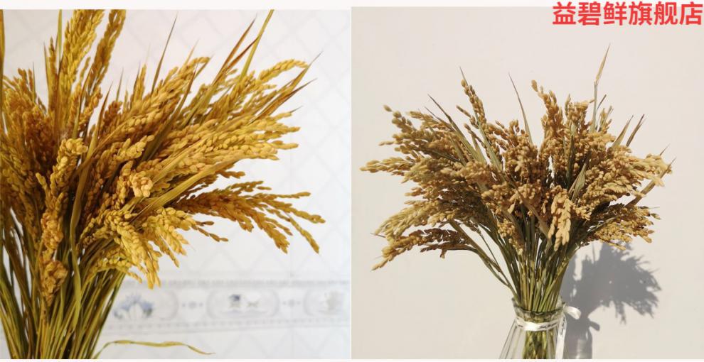 干稻穗稻谷天然稻穗稻谷干花花束农家乐装饰会展拍摄道